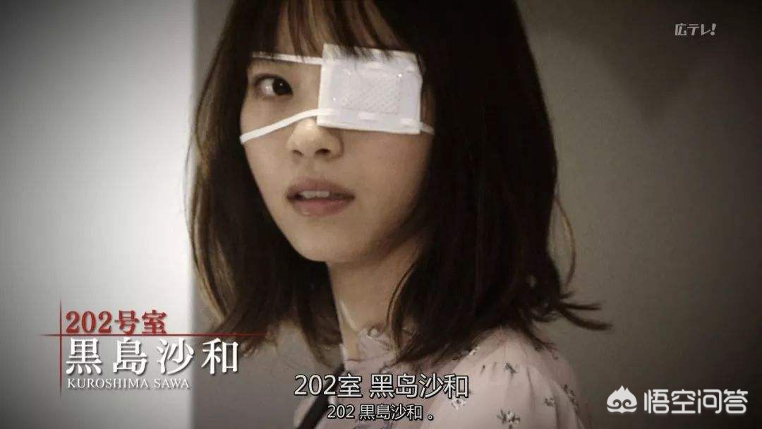 免费电影电视剧观看影视大全_电影电视免费的看