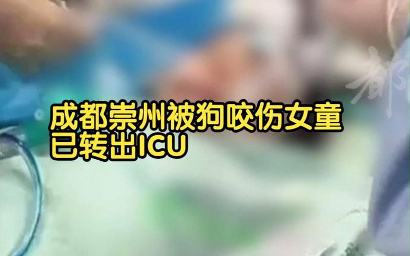 女童被狗扑咬受伤,女儿被小狗咬了没出血怎么办