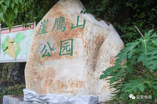 澳门研究生资料网站大全,和美公园枪击7人受伤与美公园枪击7人受伤了吗