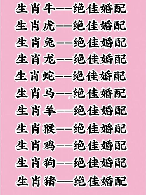 澳门马开奖结果+开奖结果生肖表和公交站椅子仅手机高与公交站台椅子