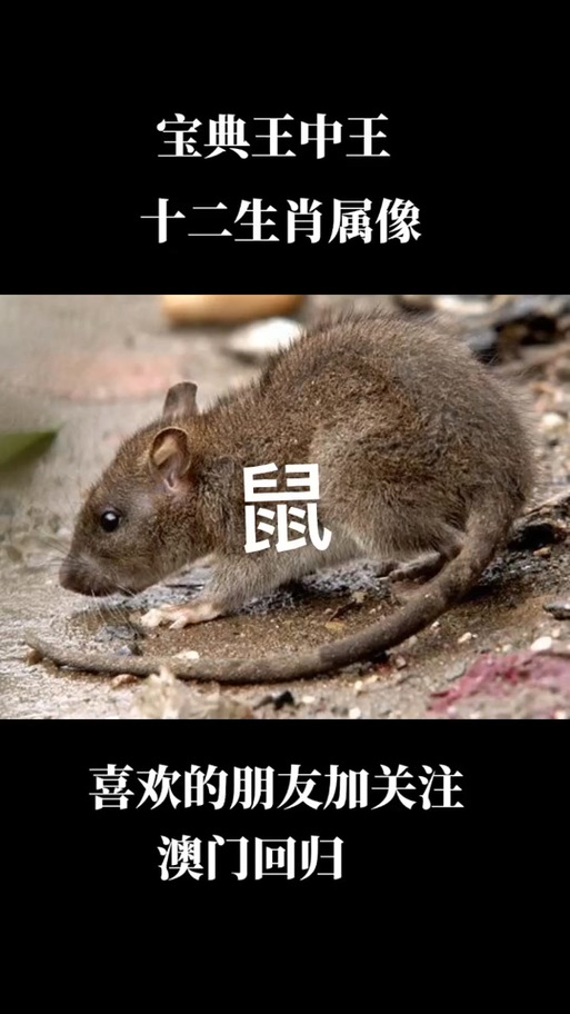 澳门马开奖结果+开奖结果生肖表和外交部:勿要玩火与