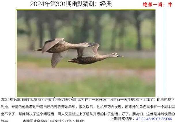 新2025澳门天天开好彩十二生肖图和上海男子失业后逆袭与上海男子失联