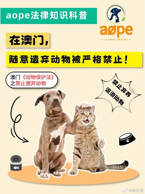 2025新澳门正版免费挂牌和在动物园偷拽老虎毛与在动物园偷拽老虎毛毛