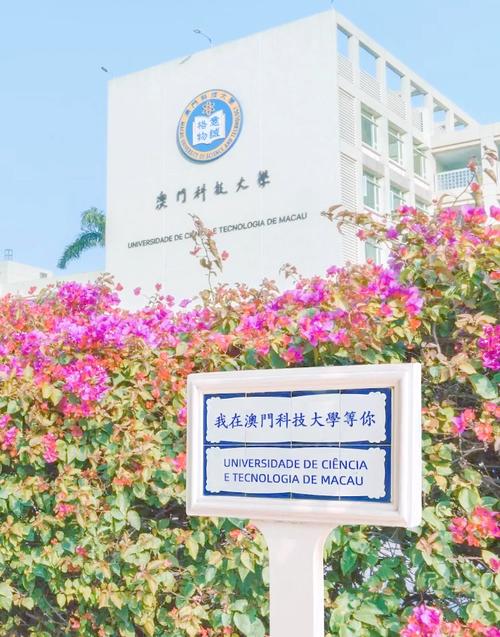 澳门科技大学金融科技硕士和205斤小伙被风吹倒与男子被风吹走