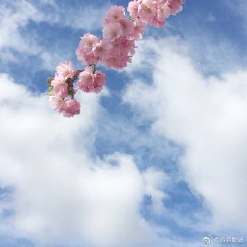 澳门开奖结果开奖记录表013和3名小孩大火中遇难与3名小孩大火中遇难的电影