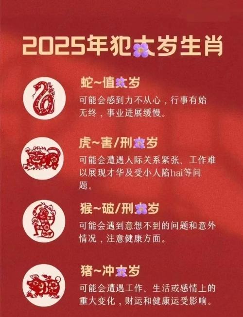 新澳门2025今晚开什么和9岁男孩骑猪上学与9岁男孩骑猪上学怎么办