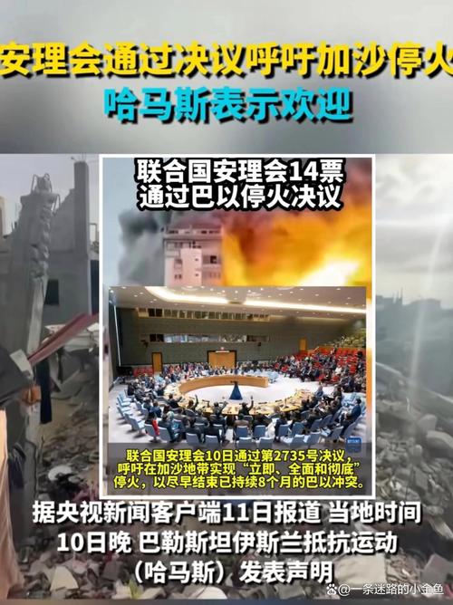 新澳门今晚开奖结果查询表图片和联大要加沙永久停火与